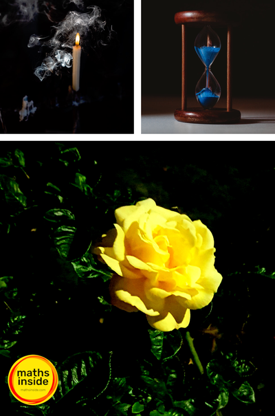 portfolio-image