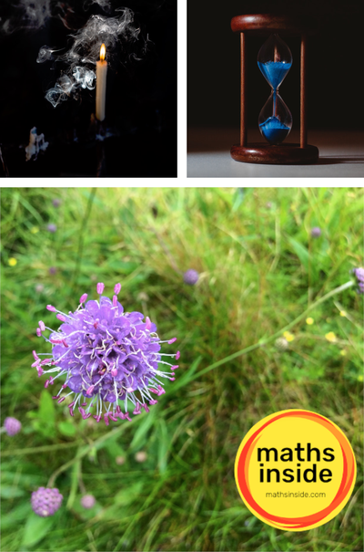 portfolio-image