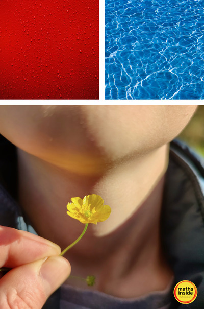 portfolio-image