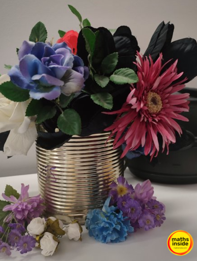 portfolio-image